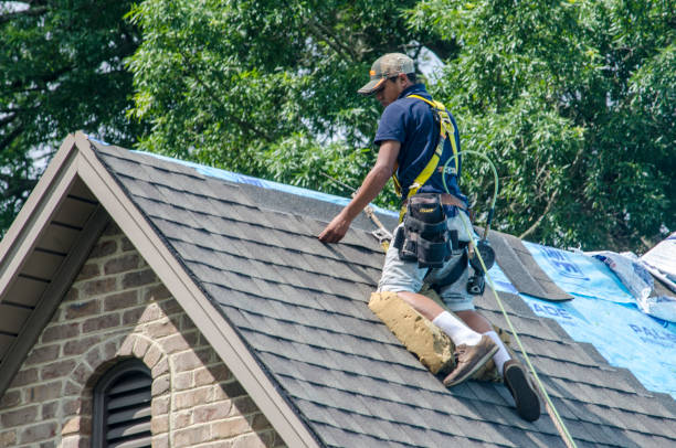 Best Roof Repair Services  in Bethany, IL